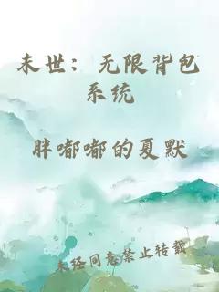 末世：无限背包系统